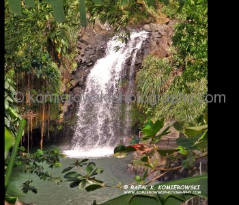 Annandale Falls- one of two the most popular waterfalls in Grenada...crowded when the cruise ships are in port