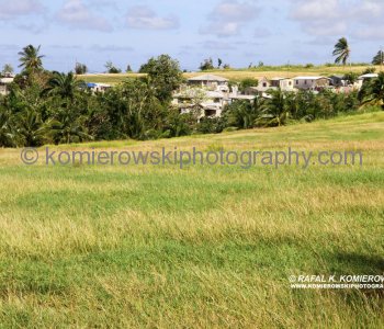 New development approaching....today are 1500 small farms throughout Barbados which can produce some 60 000 tons of sugar annually