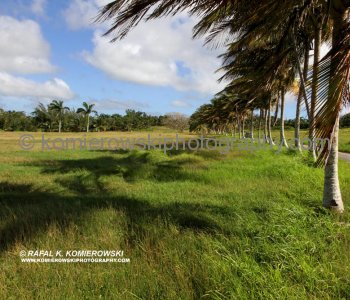 Countryside is pictures  however while rent a car, be careful of potholes, sharp bends, no road signage and lots of horns, the maps provided are mere guidelines...