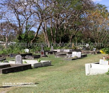 quickly  wander through the churchyards and look at the inscriptions, names and dates  on the stones...