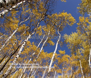 Colorful Autumn Hiking in Kananaskis Country near Bragg Creek,  Alberta, CANADA