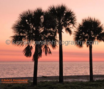 Touring Florida (1), USA