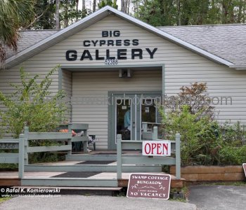 Big Cypress Gallery a.k.a. Clyde Butchers Swamp Cottage, Florida