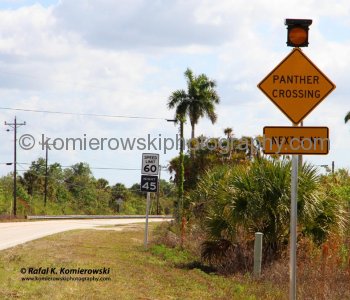 Highway No. 41, Florida
