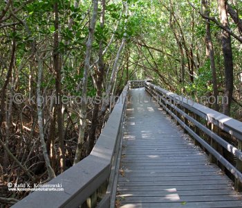 Everglades National Park, Florida