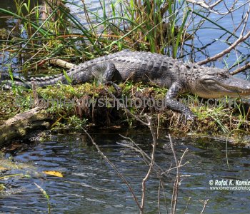 Everglades National Park, Florida