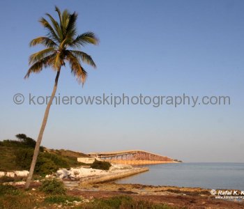 Construction of the highway began in the late 1930s. Its foundation included some of the original railway spans as well as the coral bedrock of individual keys and specially constructed columns.