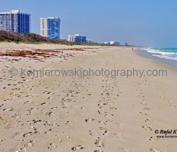 Jensen Beach is 53 miles north of Palm Beach and 11 miles east of Port St. Lucie....