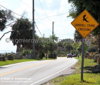 View from SR  a.k.a. Highway A1A  between Stuart and North  Palm Beach, Florida