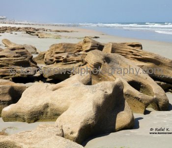 Coquina outcropping on the beach at Washington Oaks State Gardens, Flagler County, Florida