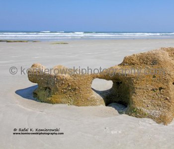 Coquina outcropping on the beach at Washington Oaks State Gardens, Flagler County, Florida