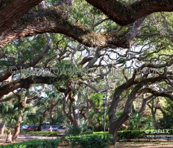 Old City, St. Augustine, Florida