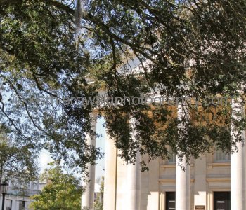Spanish moss grows from hanging branches of trees in Historic Savannah ....