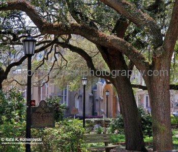 Historic Savannah...