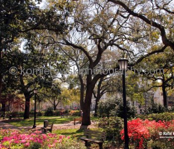 Monterey Square, Savannah, Georgia