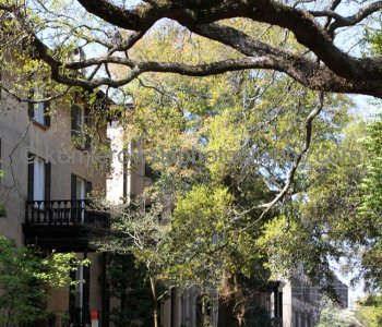Historic Savannah...
