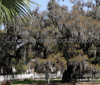 Historic Savannah...spectacular Garden City...