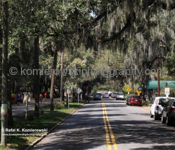 Historic Savannah...spectacular Garden City...