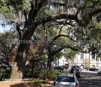 Historic Savannah...spectacular Garden City...