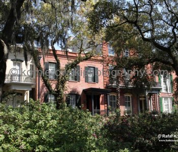 Historic Savannah...spectacular Garden City...