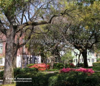 Historic Savannah...spectacular Garden City...