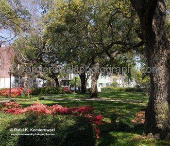 Historic Savannah...spectacular Garden City...