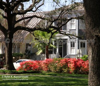 Historic Savannah...spectacular Garden City...