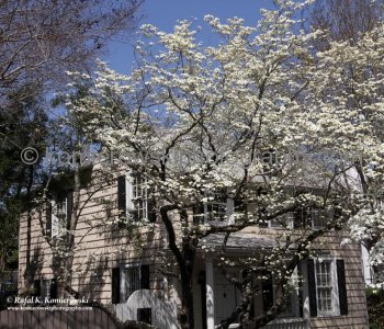 Historic Savannah...spectacular Garden City...