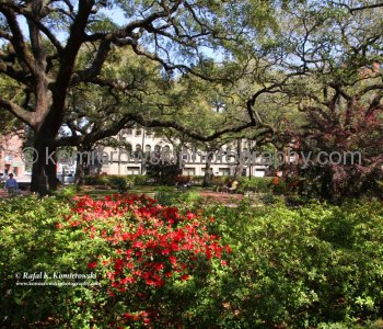 Historic Savannah...spectacular Garden City...