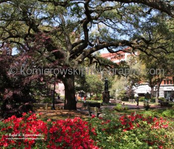 Historic Savannah...spectacular Garden City...