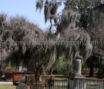 COLONIAL PARK CEMETERY, the second in colonial Savannah, was the burying ground for the city from about 1750 until it was closed against burials in 1853.