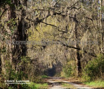 Scenery of South Carolina, USA