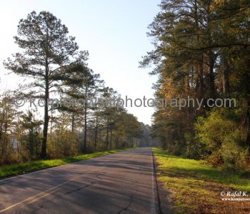 Charleston Highway - on the way to Charleston