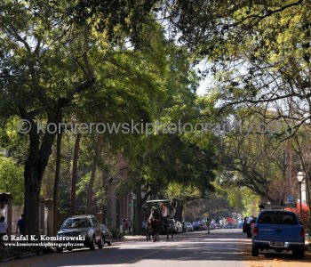 Beautiful architecture and lush gardens are woven throughout the historic neighborhoods of Charleston...