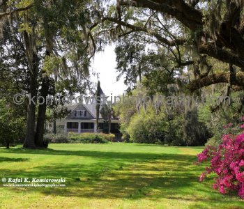 Magnolia Plantation and Gardens, South Carolina, USA