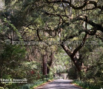 It is one of the oldest plantations in the south, and listed on the National Register of Historic Places