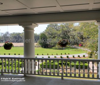 View from the front porch of the Magnolia Plantation main house...(towards W)