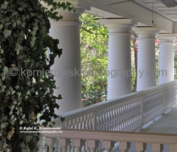 ....view from  the porch....(towards N)