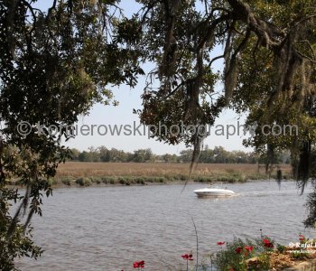 Ashley River  viewed from Magnolia Plantation