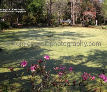Beautiful pathways and quaint bridges make getting around the gardens entertaining and practical....