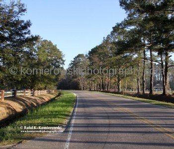 Charleston Highway (viewing North)  in South Carolina, USA