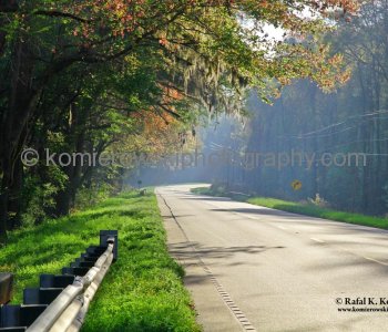 Charleston Highway (Eastbound to Charleston)  in South Carolina, USA