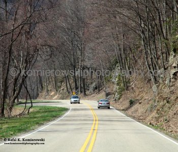 The Great Smoky Mountains National Park , Hwy 71 in TN, on the way to Knoxville,  Sunday, March 20, 2011  at  1:16 PM  (temperature plus 14 C = 57.2 F)