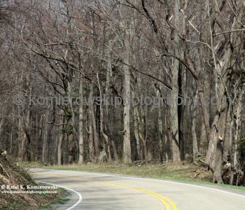 The Great Smoky Mountains National Park , Hwy 71 in TN, on the way to Knoxville,  Sunday, March 20, 2011
