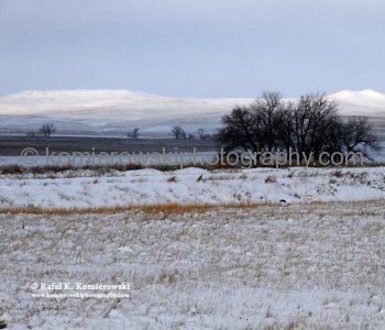 Montana Prairie seen from Hwy. 200 Northbound, March  24, 2011 at  10:06 AM (temperature  -10 C = 14 F)