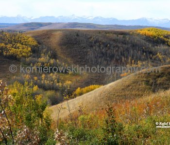 Glenbow Ranch Provincial Park, Alberta, Canada