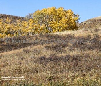 View from Tiger Lily Loop Trail , Glenbow Ranch Provincial Park