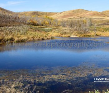 View from Tiger Lily Loop Trail , Glenbow Ranch Provincial Park