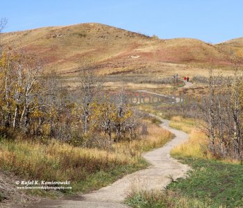 Badger Bowl Trail,  Glenbow Ranch Provincial Park