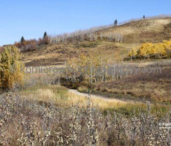 View from Badger Bowl Trail,  Glenbow Ranch Provincial Park